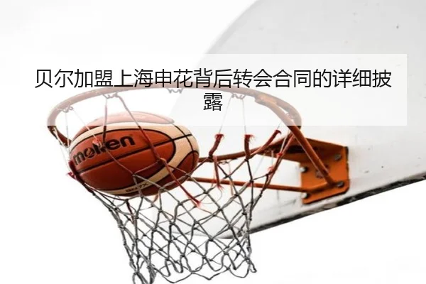 bei-er-jia-meng-shang-hai-shen-hua-bei-hou-zhuan-hui-he-tong-de-xiang-xi-pi-lu-2-139.jpg